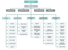 Organizational Structure