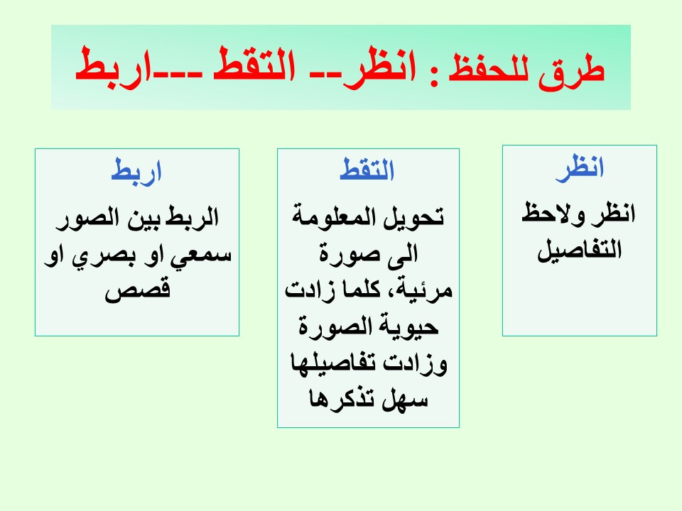 56985338-24831.png