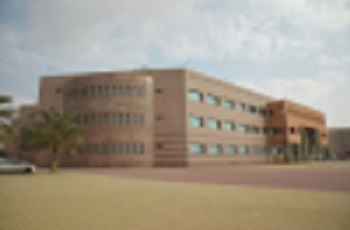 Coll-pic1.jpg
