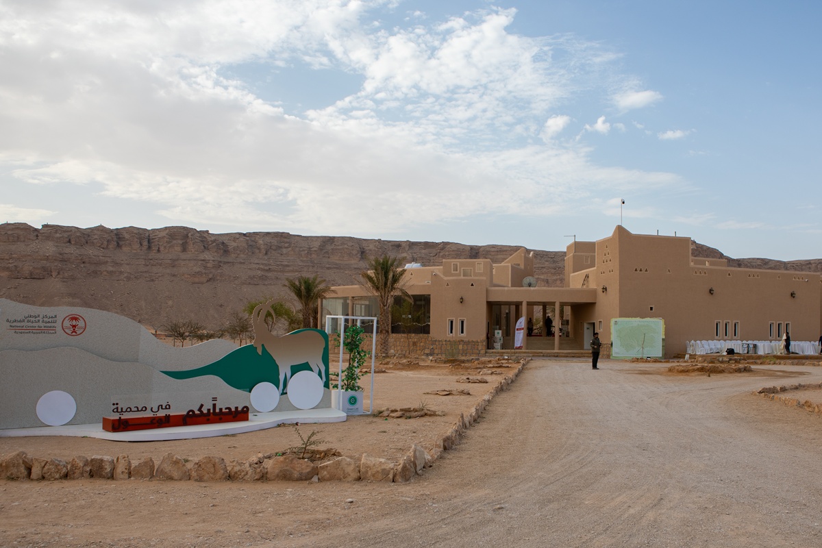 1Y3A8745.jpg