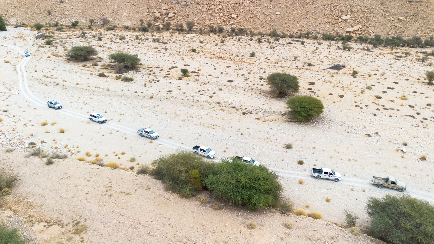 DJI_0246.jpg
