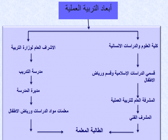 __%D9%84%D9%82%D8%B7%D8%A9%20%D8%A7%D9%84%D8%B4%D8%A7%D8%B4%D8%A9%20%285%29.png