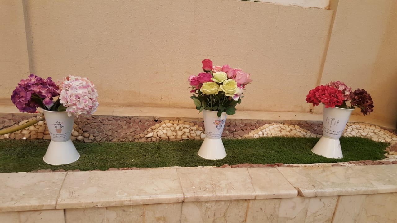 271807575-30549.jpg