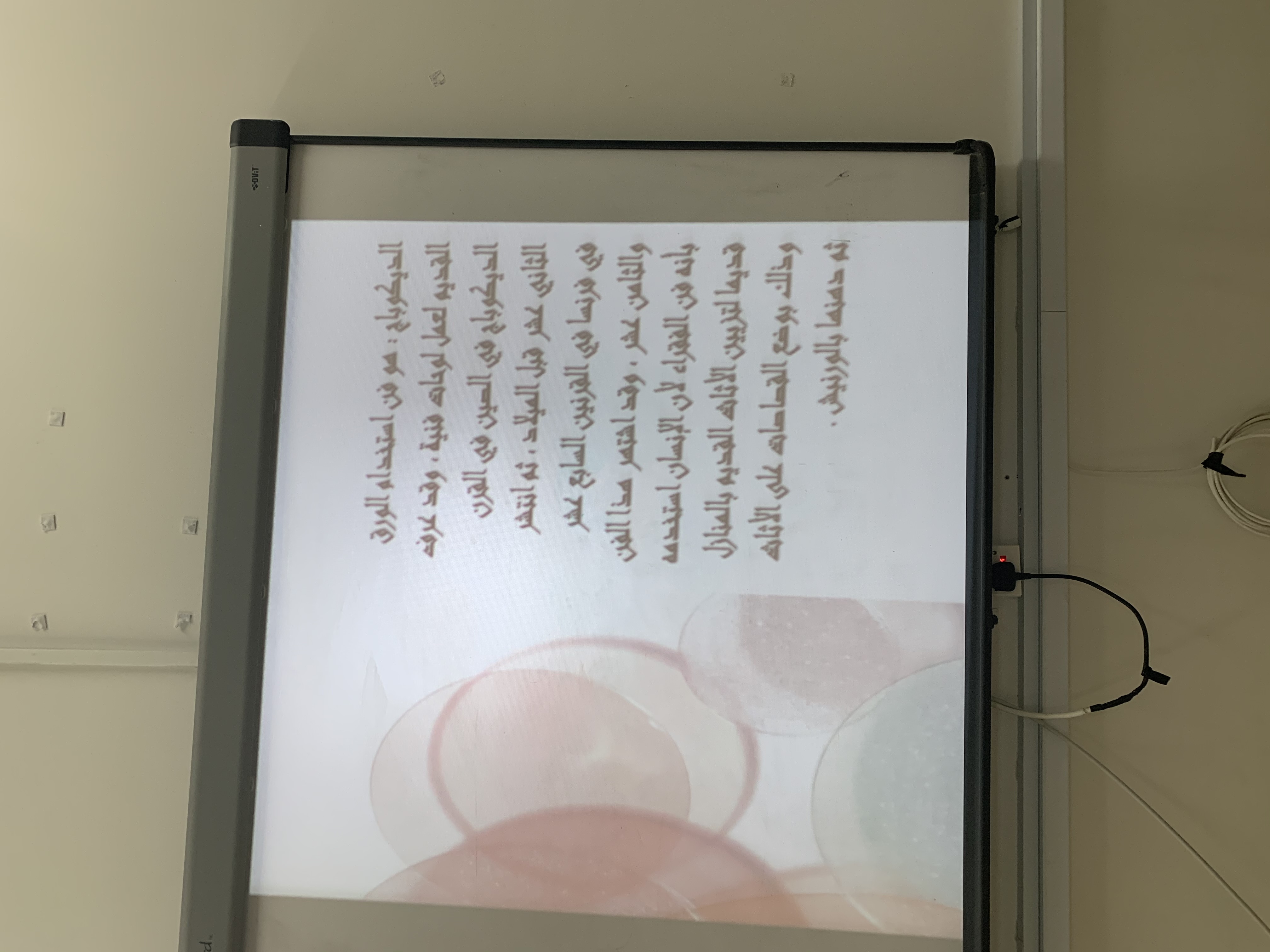 379795324-32767.jpg