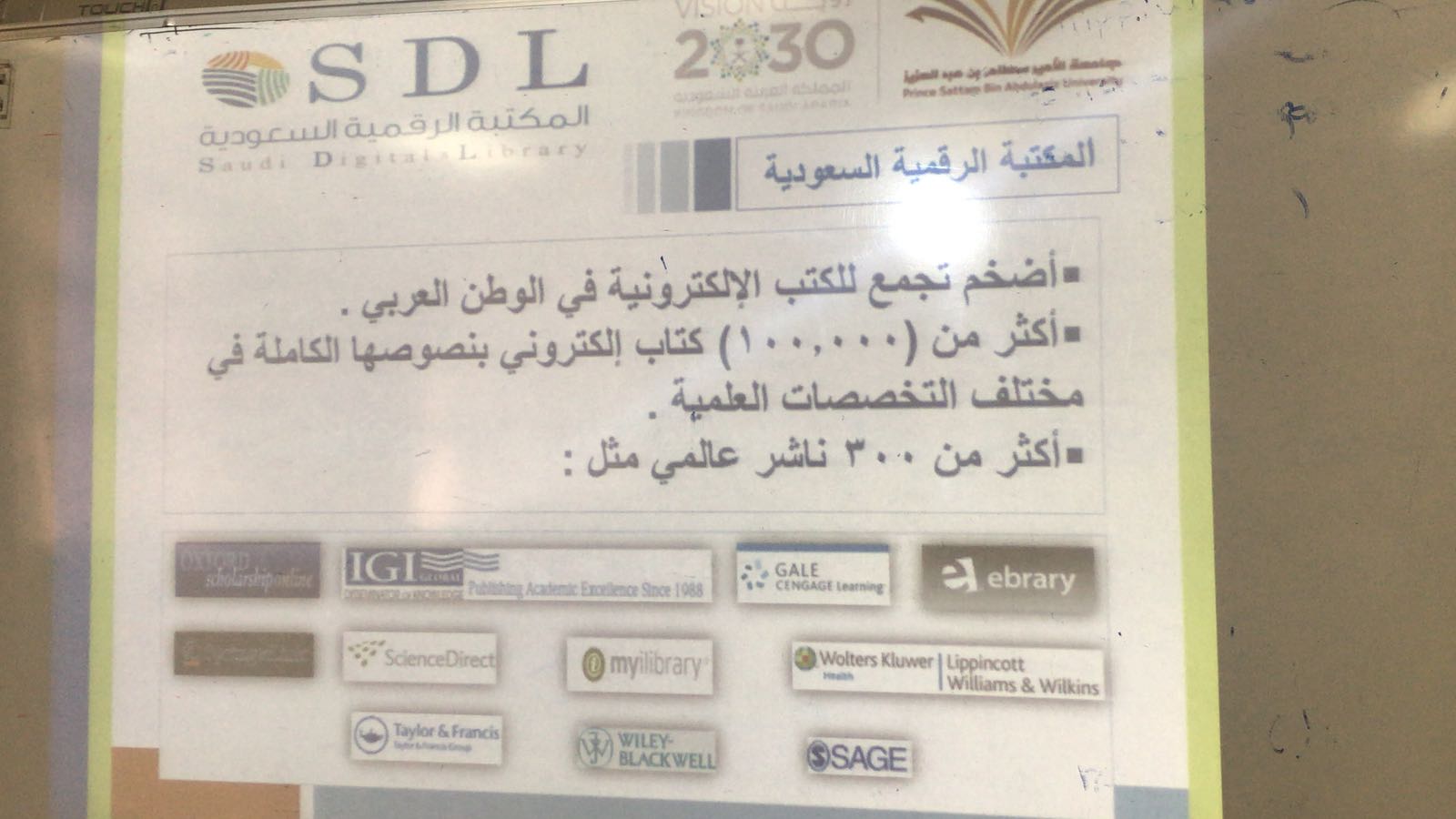 90374753-21924.jpg