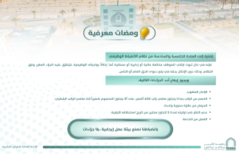 ومضة