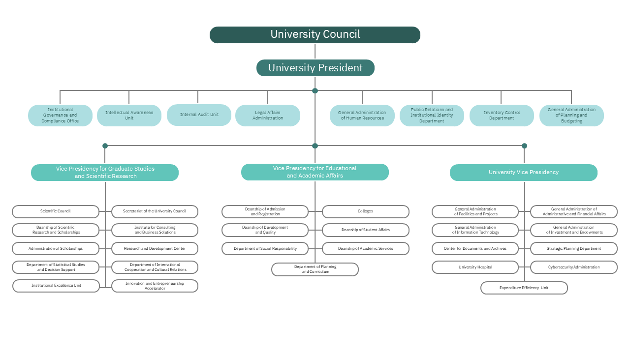 PSAU Organizational Structure