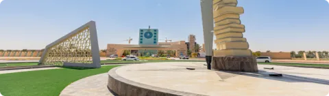 التحويل للجامعة