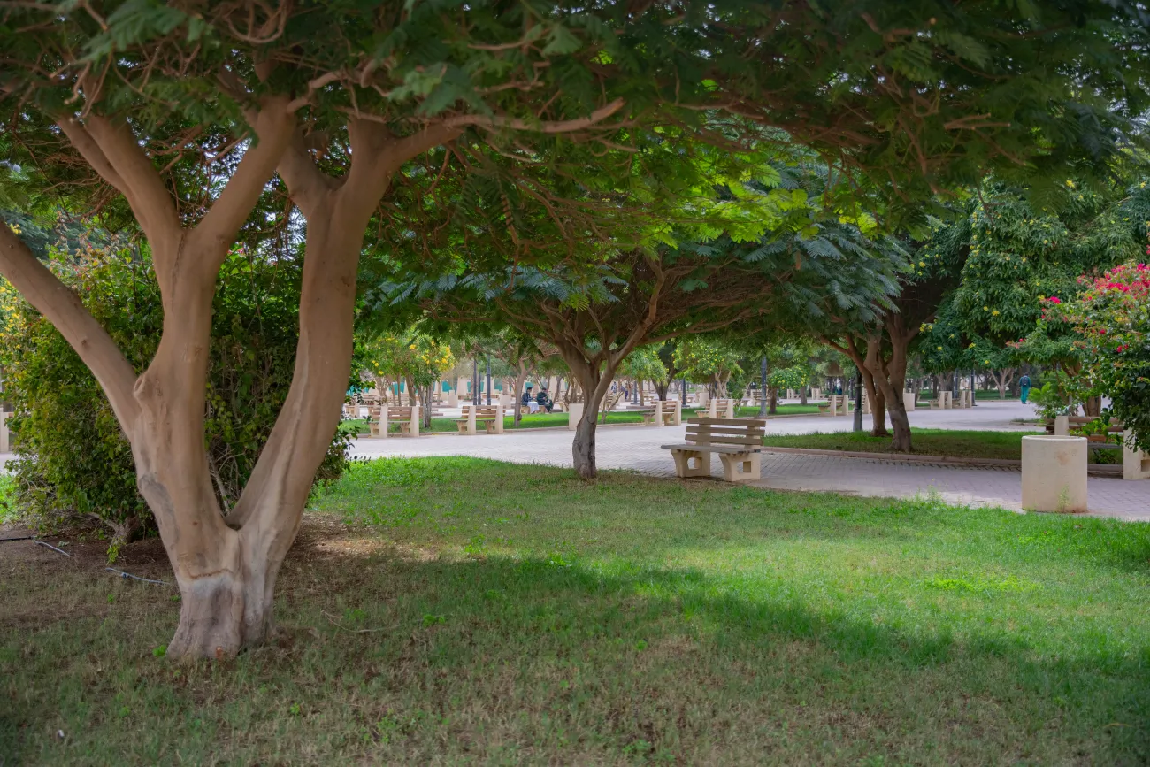 الجامعة الخضراء