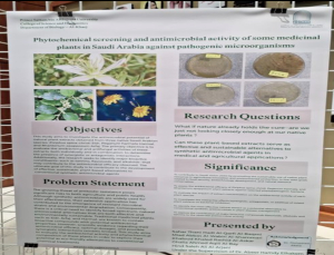 Pharmacy Students Win Second Place for Innovation at #MSIR25 Conference