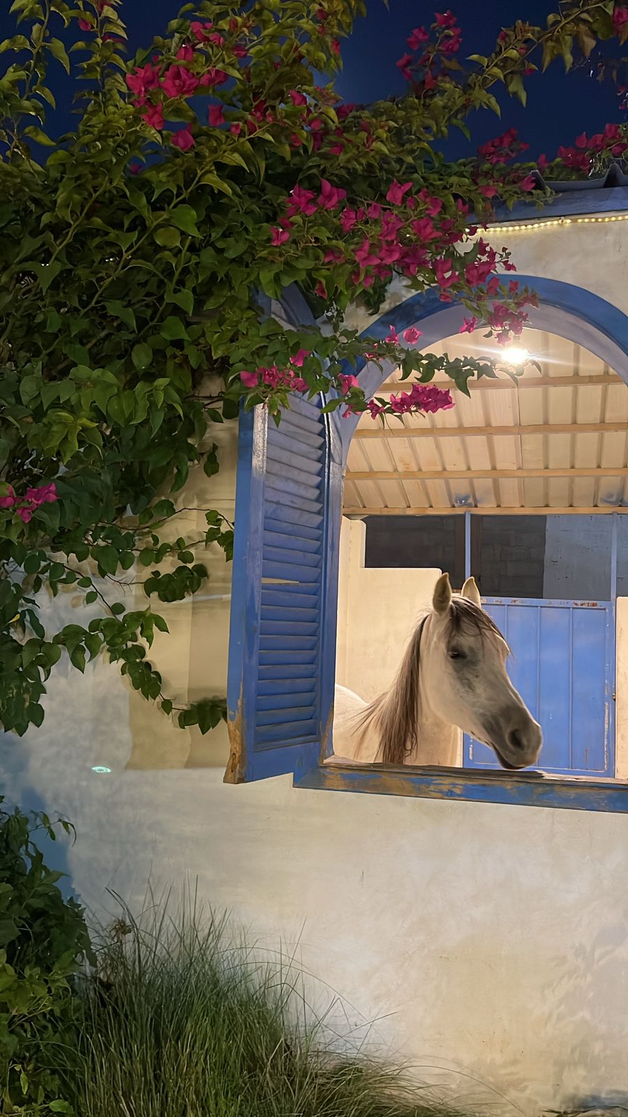 مدهال