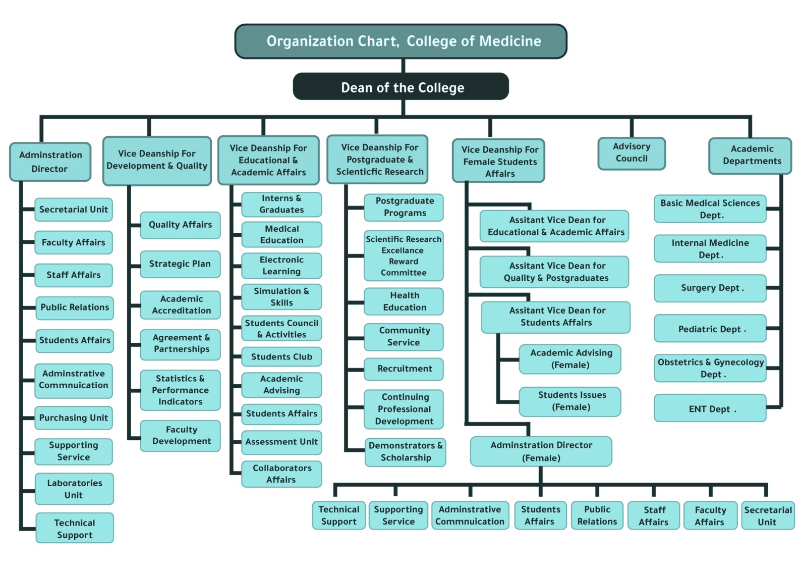 Organization Chart