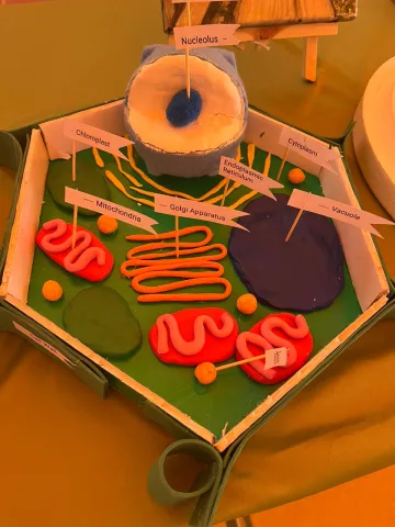 134158700.png