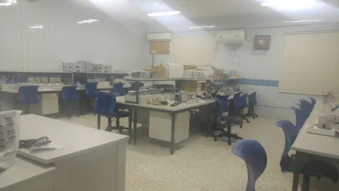 238801855.png