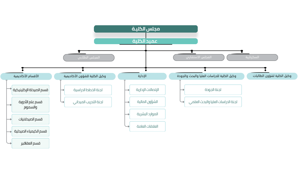 الهيكل التنظيمي