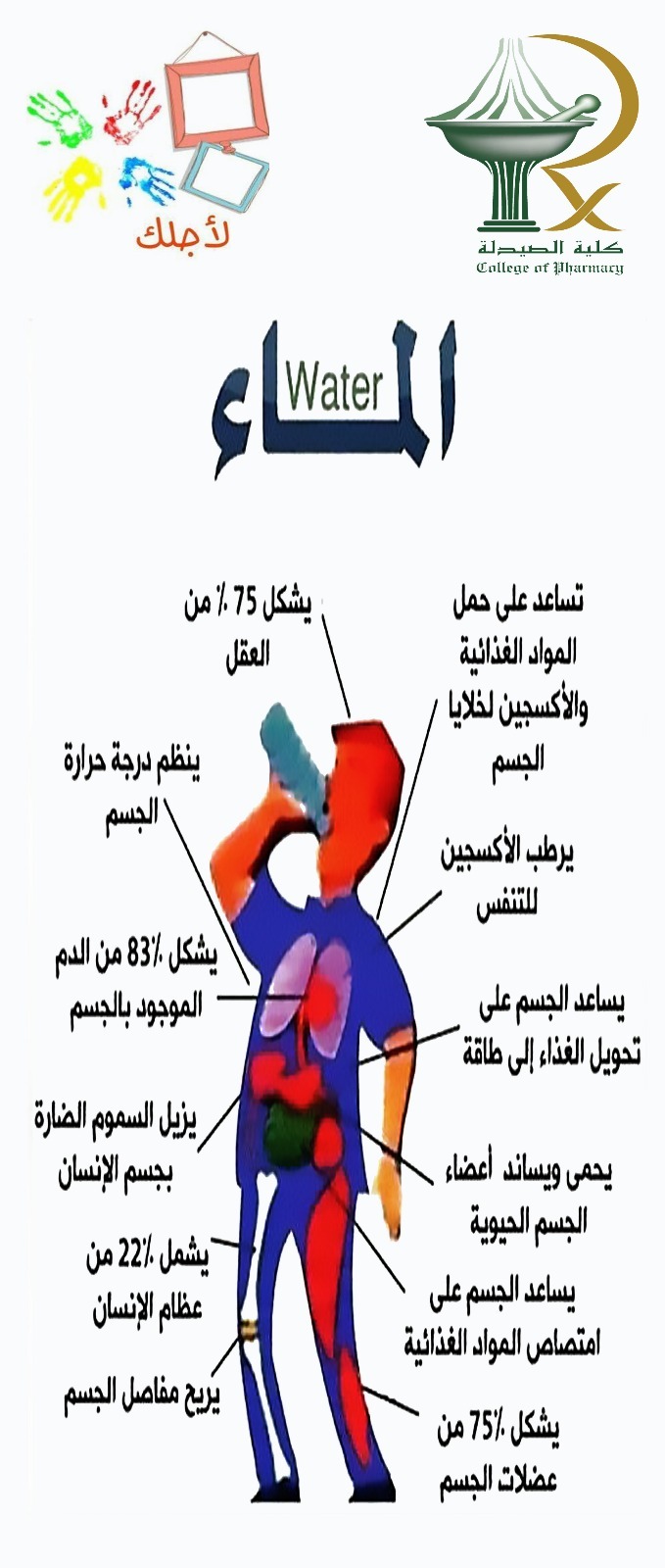 1017480276-13697.JPG