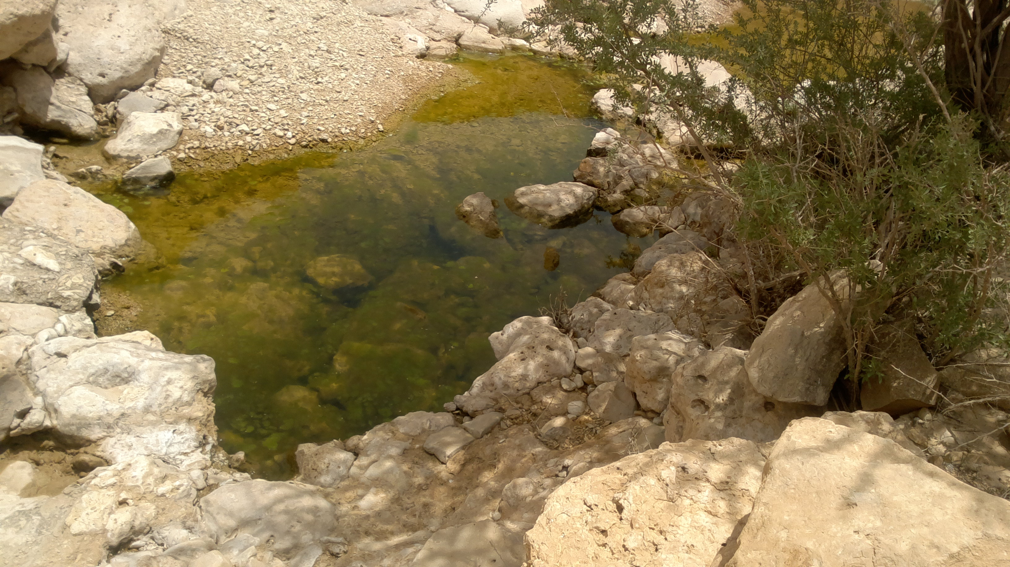 2013-05-16-055.jpg