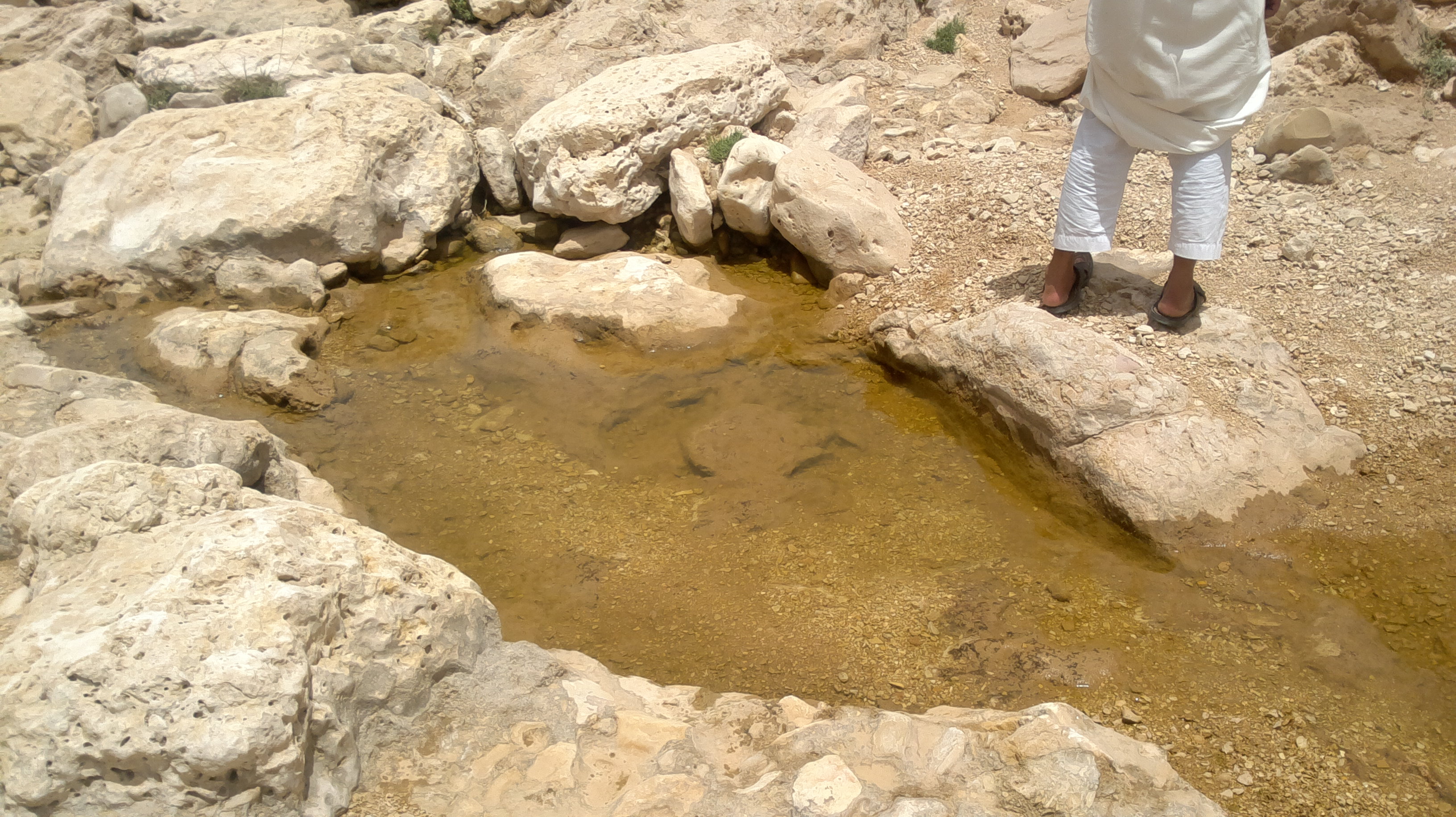 2013-05-16-056.jpg