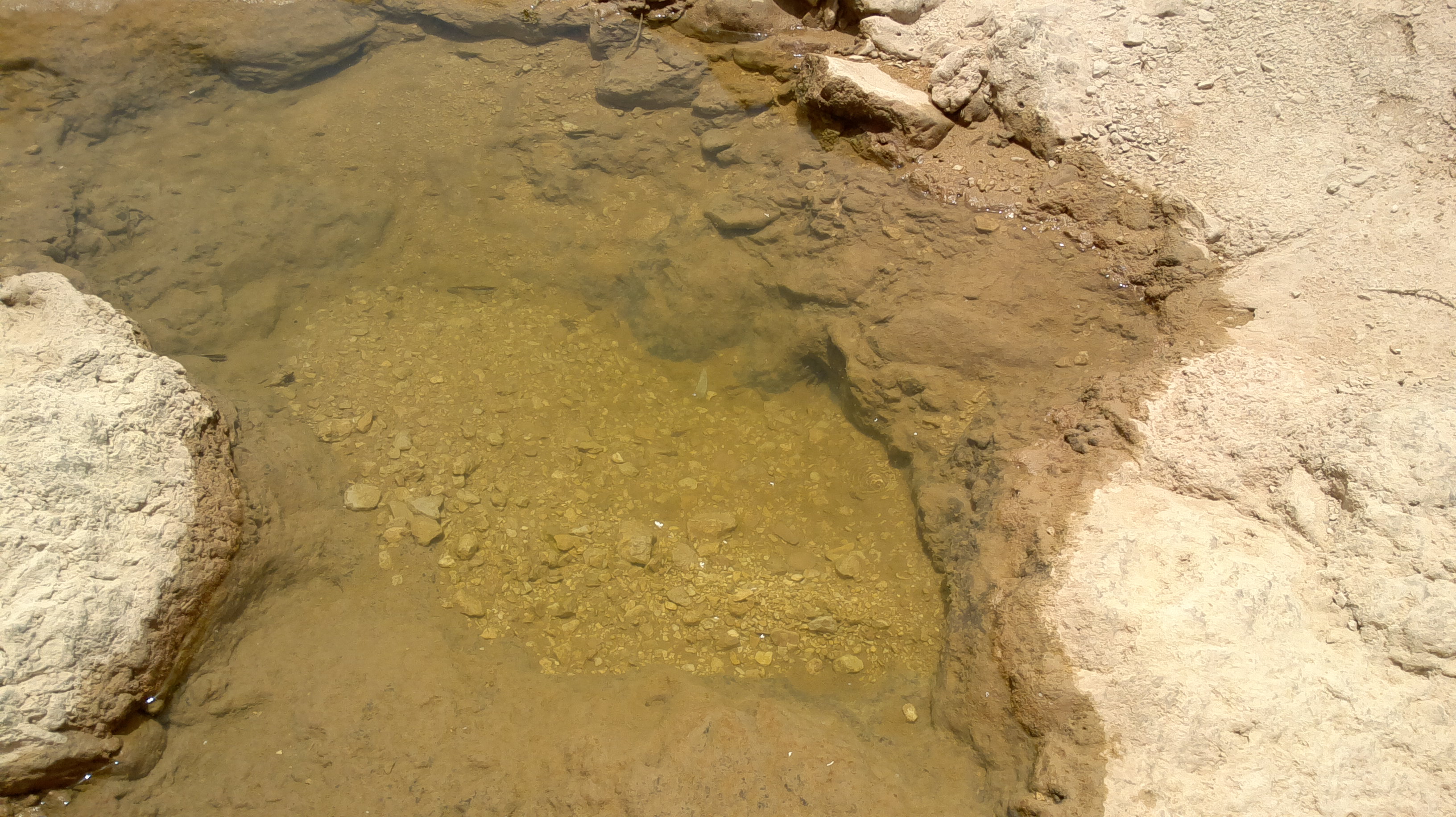 2013-05-16-058.jpg