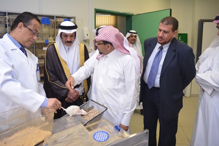 DSC_0501.JPG