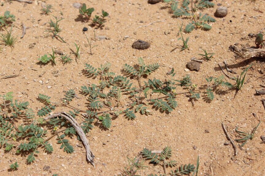 IMG-20130519-WA0020.jpg
