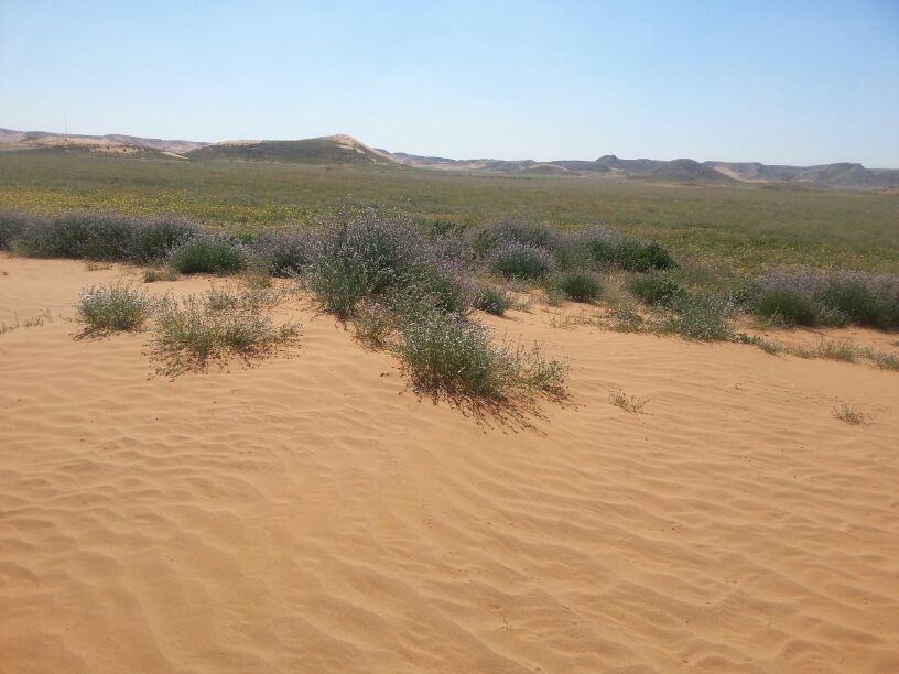IMG-20140219-WA0016.jpg