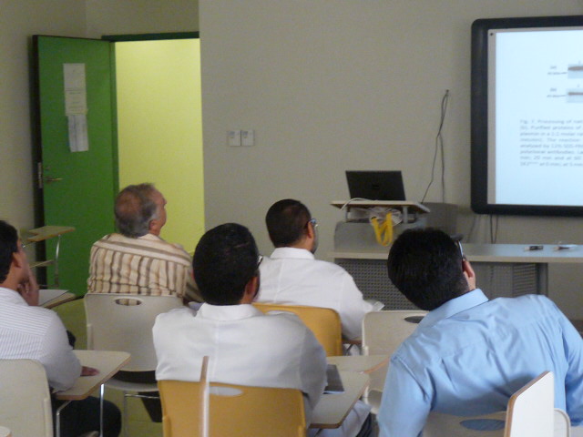P1060550.JPG