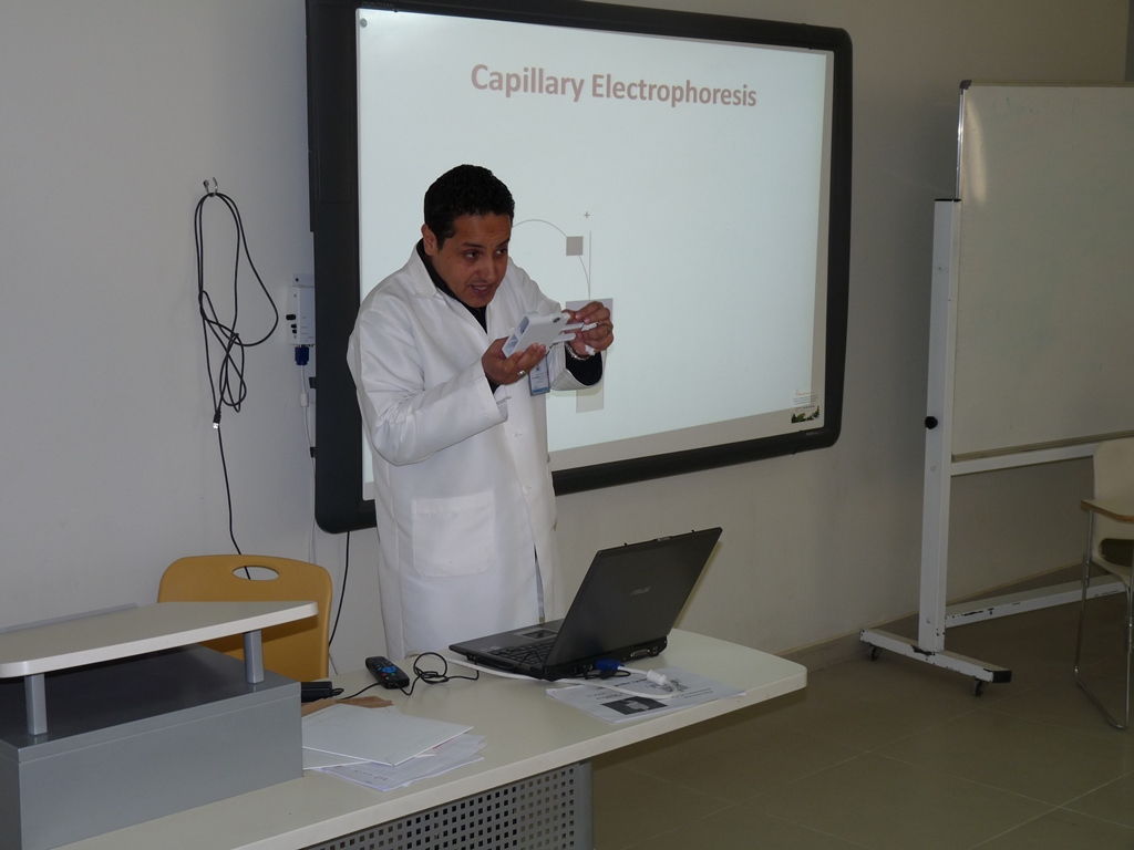 P1070870.JPG