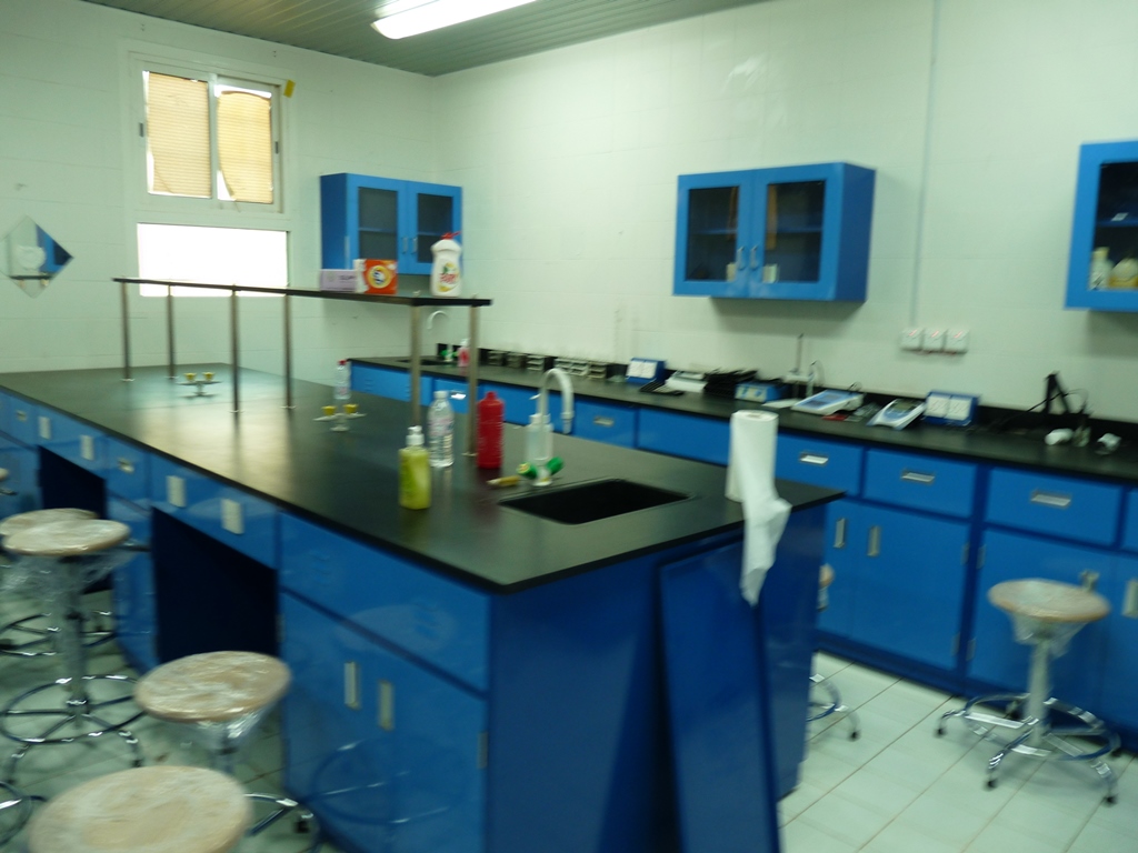 P1100235.JPG