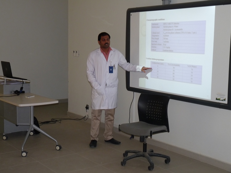 P1100321.JPG