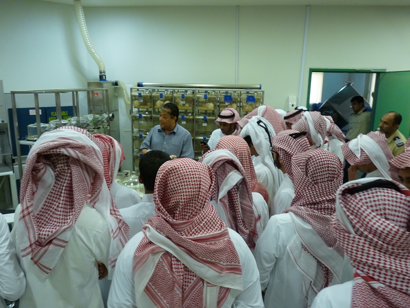 P1100620.JPG
